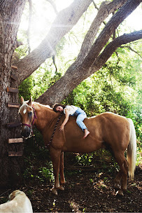 Heather Gallagher Photography - Photo 4 - Car repair in , Burlington