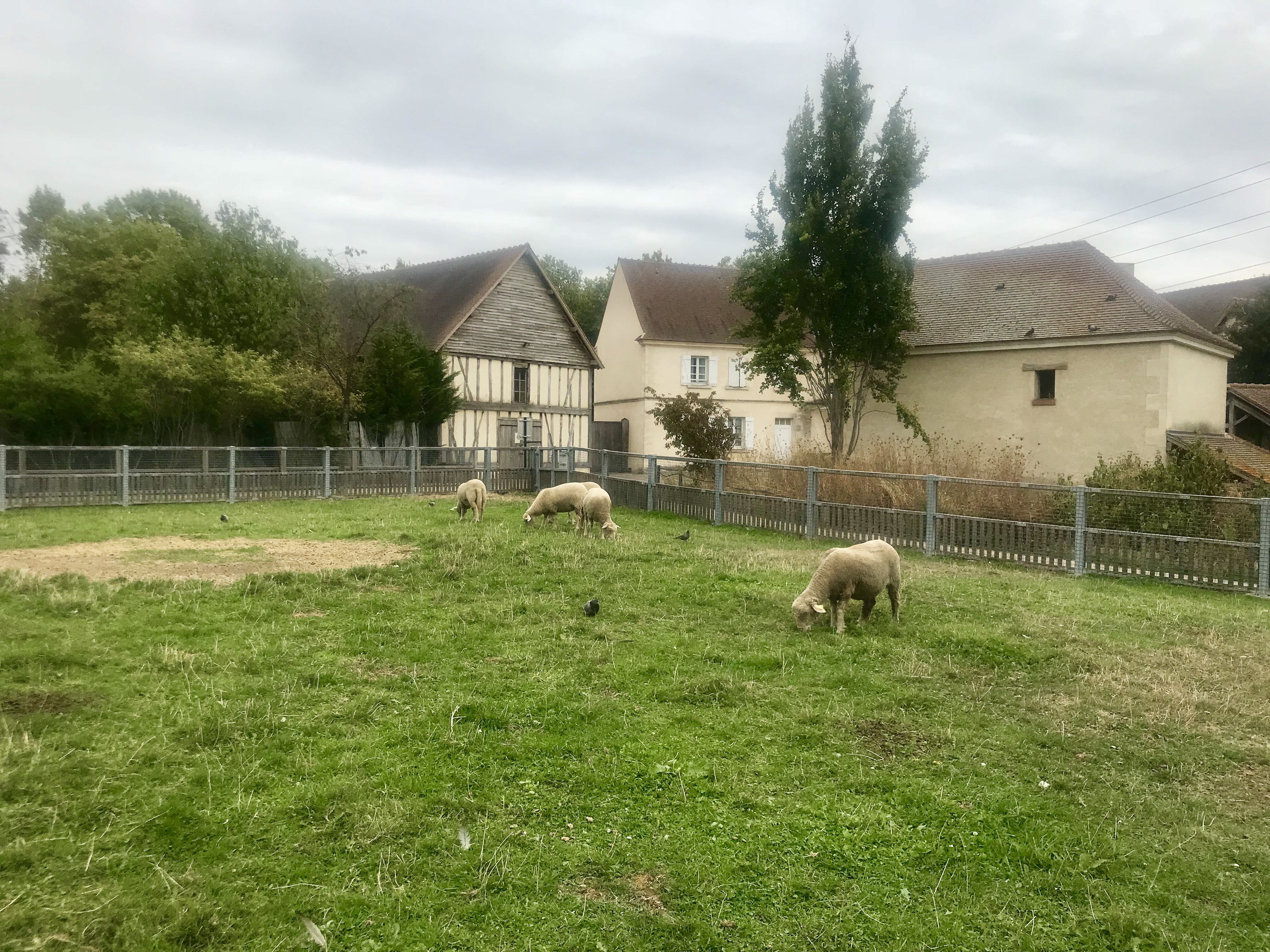 Photo n° 2 de l'avis de Jo. fait le 17/02/2019 à 20:25