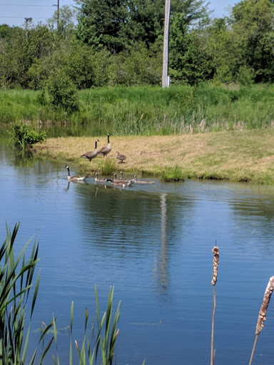 Golf Course «White Birches Golf Course», reviews and photos, 17 Thorsen Rd, Hancock, ME 04640, USA