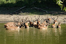 Parc de Boutissaint Treigny-Perreuse-Sainte-Colombe