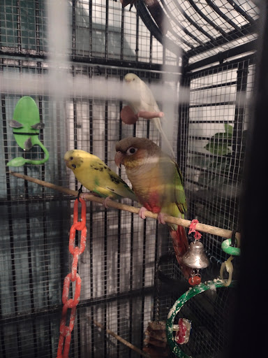 Pet Supply Store «PetSmart», reviews and photos, 1421 Carl D Silver Parkway, Fredericksburg, VA 22401, USA