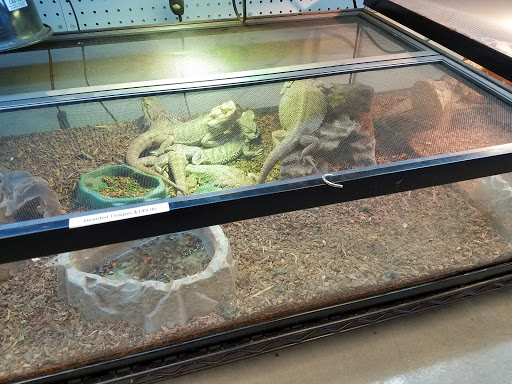 Pet Store «Exotic Pets», reviews and photos, 2410 N Decatur Blvd #160, Las Vegas, NV 89108, USA