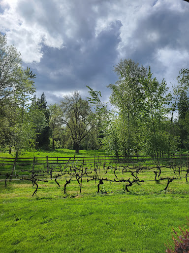 Winery «Three Brothers Vineyard and Winery», reviews and photos, 2411 NE 244th St, Ridgefield, WA 98642, USA