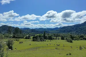 Reserva Nacional de flora y fauna de Tariquía image