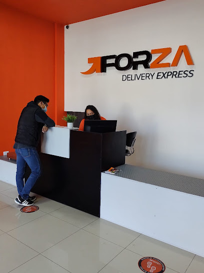 Forza Delivery Express