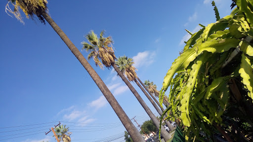Holiday Inn & Suites Anaheim (1 BlkDisneyland), an IHG Hotel image