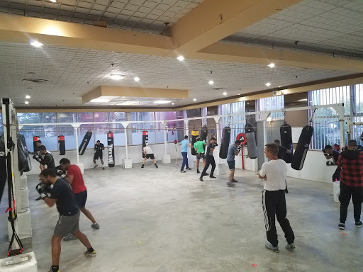 Cours de boxe pour enfants en Toulouse