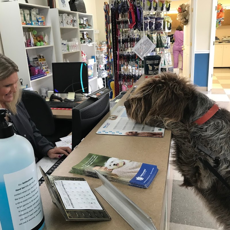 County Seat Veterinary Hospital