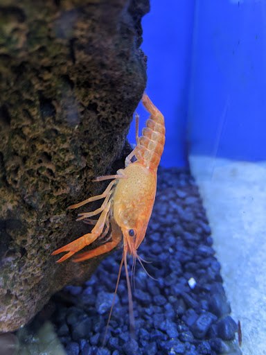 Pet Supply Store «IncrediPet», reviews and photos, 306 Southland Dr, Lexington, KY 40503, USA