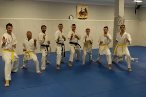 karate Palma image