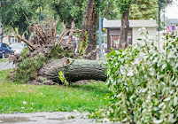 Coeur d'Alene Landscapers - Photo 6 - Car repair in , Coeur d'Alene