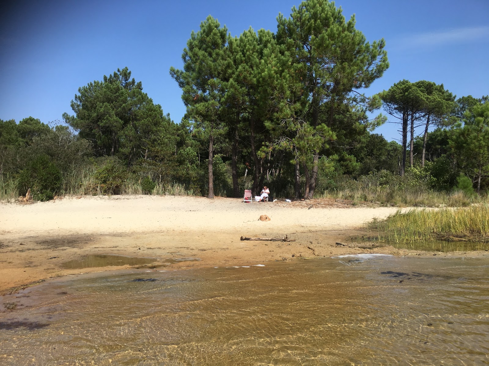 La plage des Aigrettes'in fotoğrafı doğal alan içinde bulunmaktadır
