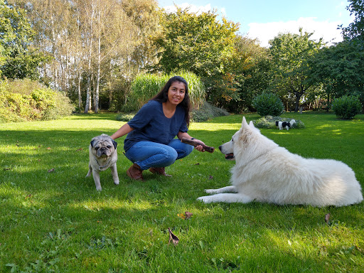 Dianas Hundesalon in Glamsbjerg, Assens