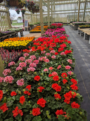 Grocery Store «Stringtown Grocery», reviews and photos, 2208 540th St SW, Kalona, IA 52247, USA