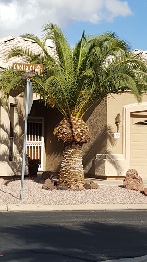 Golf Club «Coyote Lakes Golf Club», reviews and photos, 18800 N Coyote Lakes Pkwy, Surprise, AZ 85374, USA