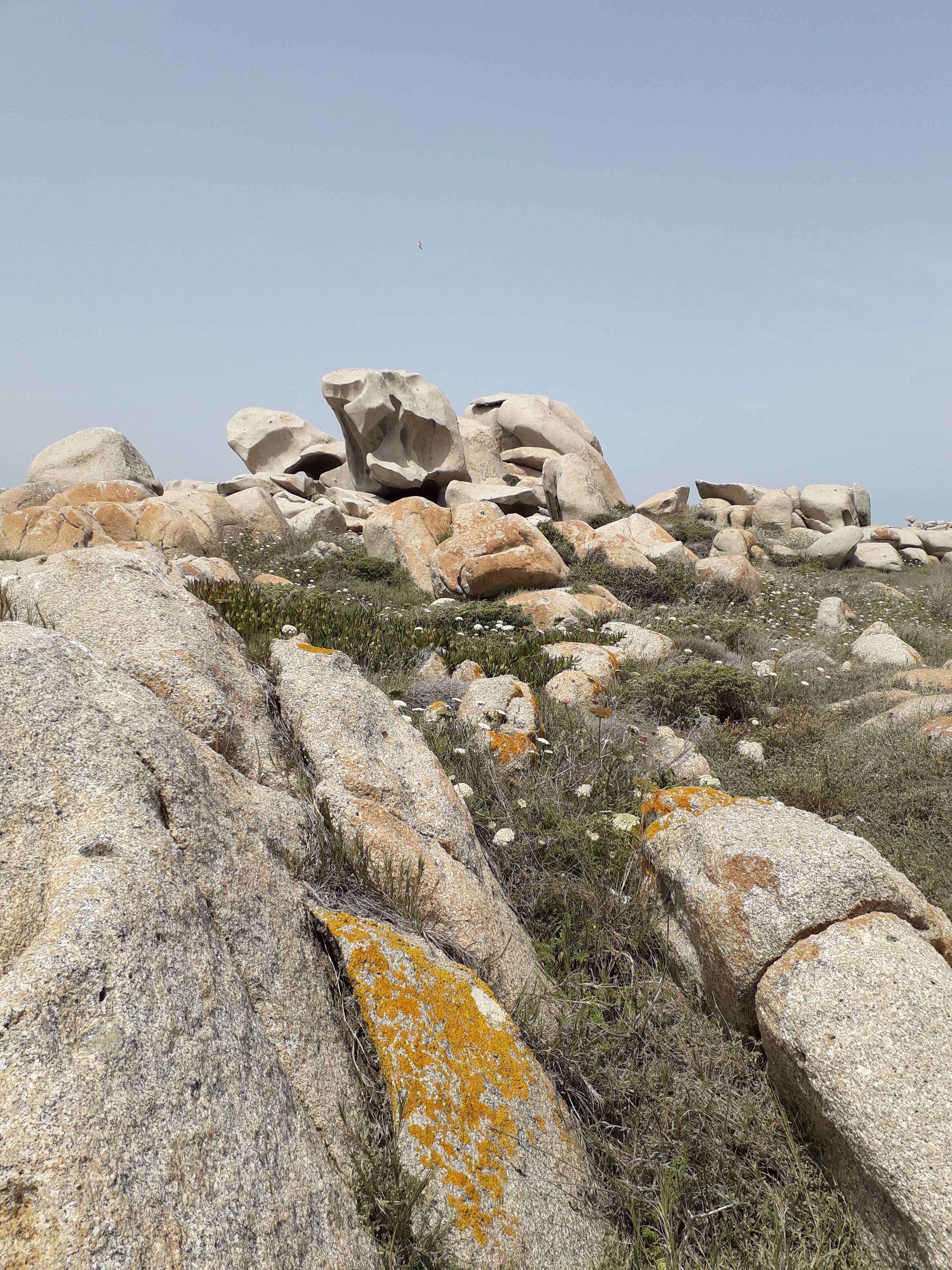 Photo n° 4 de l'avis de Stéphane.a fait le 10/06/2019 à 16:29