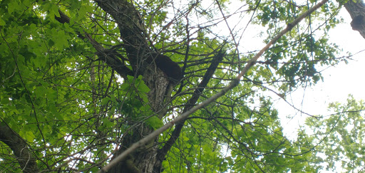 Golf Course «California Golf Course», reviews and photos, 5924 Kellogg Ave, Cincinnati, OH 45228, USA