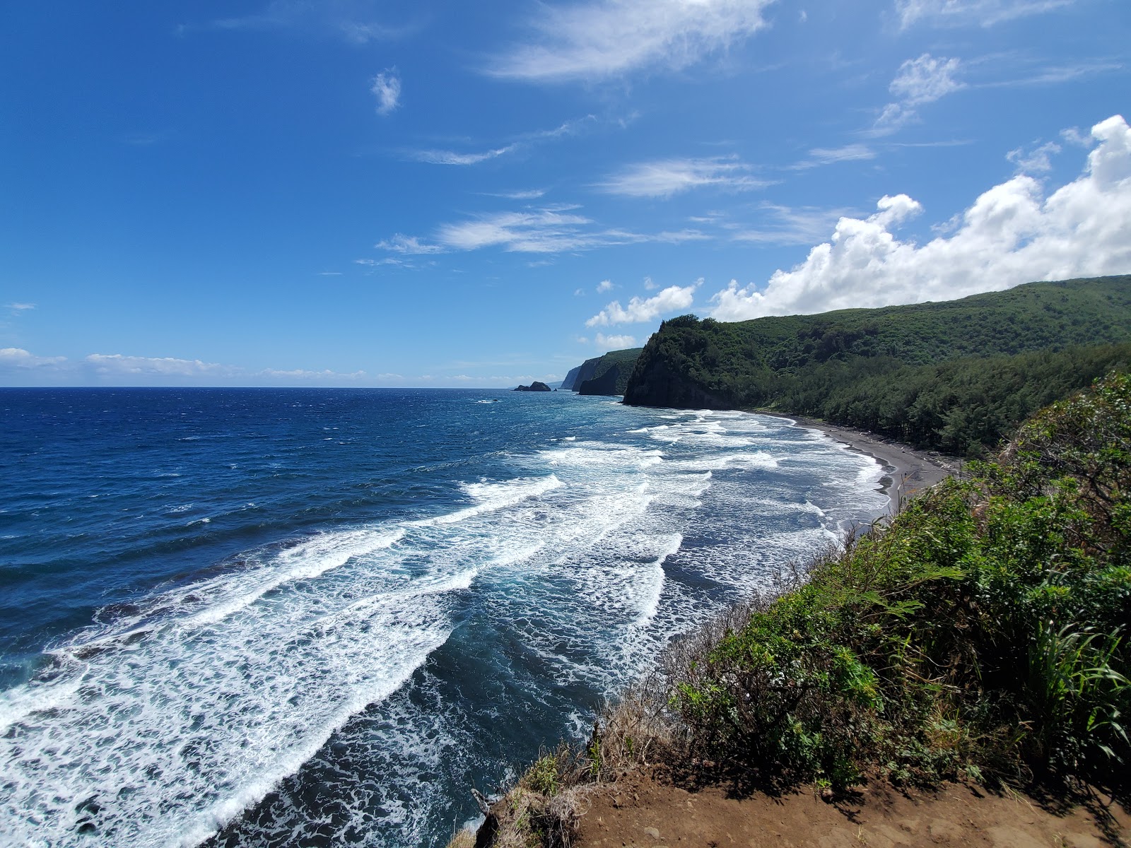 Photo of Pololu Trail with very clean level of cleanliness