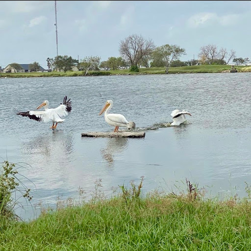 Golf Course «Lozano Golf Center», reviews and photos, 4401 Old Brownsville Rd, Corpus Christi, TX 78405, USA