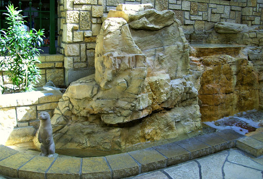 Amusement Park «Edinborough Park», reviews and photos, 7700 York Ave S, Edina, MN 55435, USA