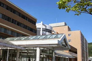 Ōmachi General Hospital image