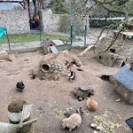 Photo n°4 de l'avis de Boris.i fait le 25/02/2023 à 11:52 sur le  Gasthof Goldener Hahn à Frankfurt an der Oder