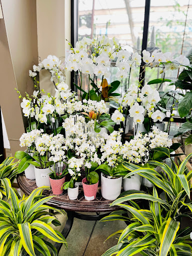 Green Acres Nursery & Supply image