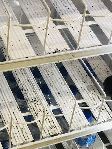 Dollar Store «Dollar Tree», reviews and photos, 1065 Kennedy Rd E, Windsor, CT 06095, USA