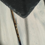 Photo n°1 de l'avis de Michele.e fait le 02/02/2023 à 11:06 sur le  Caffe dei sani à Chieti