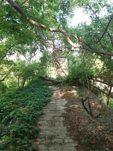 Nature Preserve «Jackson Nature Park», reviews and photos, 9284 County Rd 401, Stockdale, TX 78160, USA