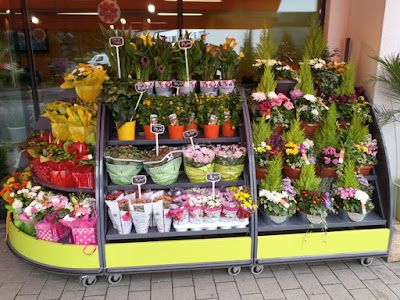 Photos of Novea Fleurs Dudelange