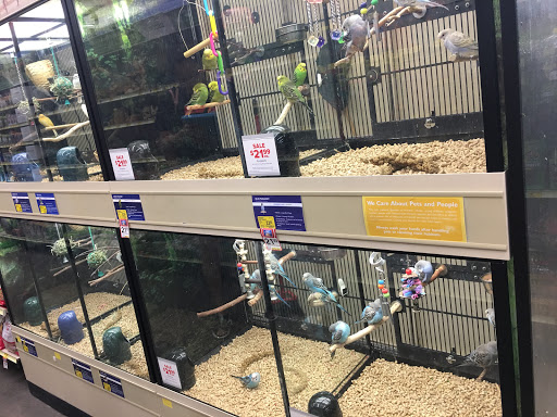 Pet Supply Store «PetSmart», reviews and photos, 13764 W Bell Rd, Surprise, AZ 85374, USA