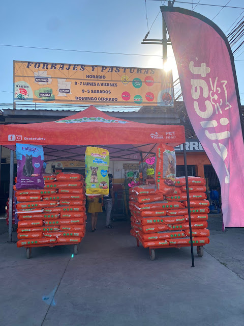 La Gallina Pinta Tlaquepaque