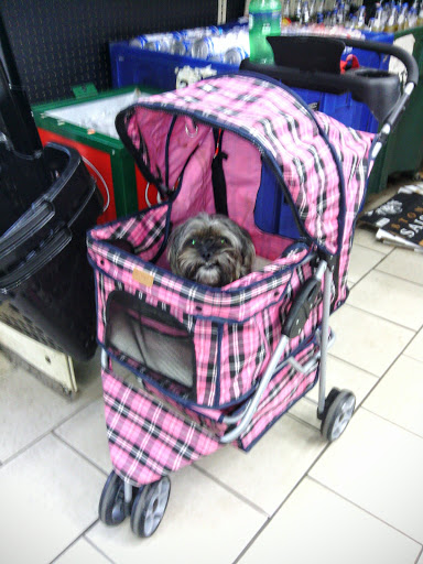 Grocery Store «4 Way Market», reviews and photos, 1401 Fatherland St, Nashville, TN 37206, USA