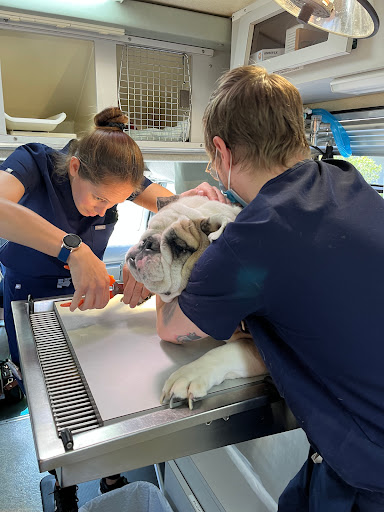 Florida Veterinary Clinic