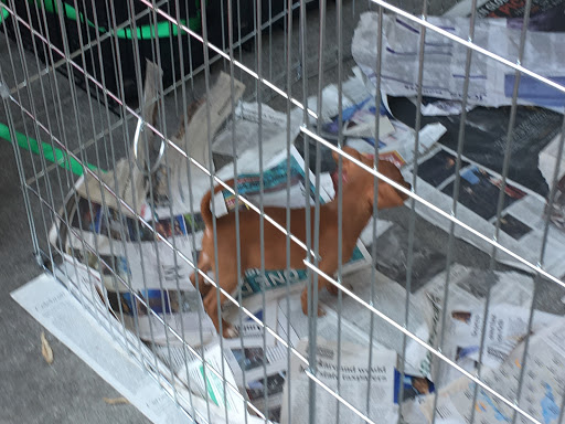 Pet Supply Store «Pet Food Express», reviews and photos, 3910 Middlefield Rd, Palo Alto, CA 94303, USA