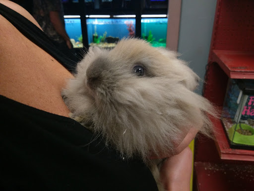 Pet Supply Store «Pure Paradise Pets», reviews and photos, 39 Putnam Pike, Johnston, RI 02919, USA