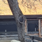 Photo n°3 de l'avis de Micol.e fait le 30/12/2023 à 18:45 sur le  Foresta Natalizia Forst à Algund