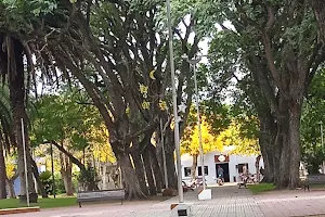Plaza San Antonio image