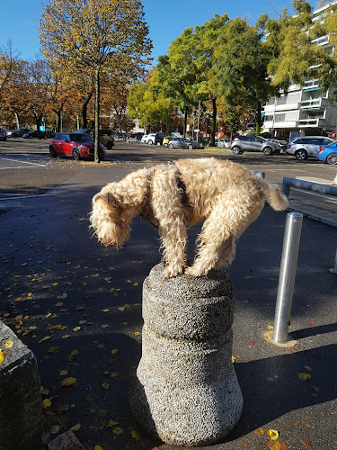 Rezensionen über Parking Lugano in Lugano - Parkhaus