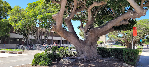 Book Store «UCSB Bookstore», reviews and photos, 1 UCEN Rd, Santa Barbara, CA 93106, USA