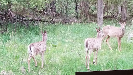 Moving Company «Hedberg Moving Solutions», reviews and photos, 10351 Jamestown St NE #100, Blaine, MN 55449, USA