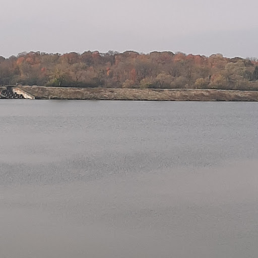 Nature Preserve «Meacham Forest Preserve», reviews and photos, Circle Ave, Bloomingdale, IL 60108, USA