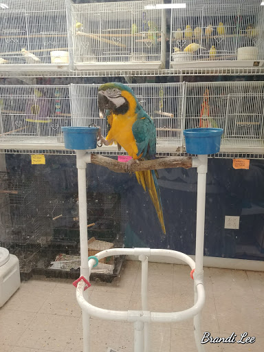 Pet Store «Fish Bowl Aquarium & Pet Mart», reviews and photos, 425 Pleasant St # 21, Fall River, MA 02721, USA