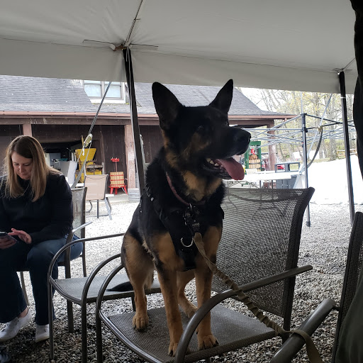 Winery «Benmarl Winery», reviews and photos, 156 Highland Ave, Marlboro, NY 12542, USA