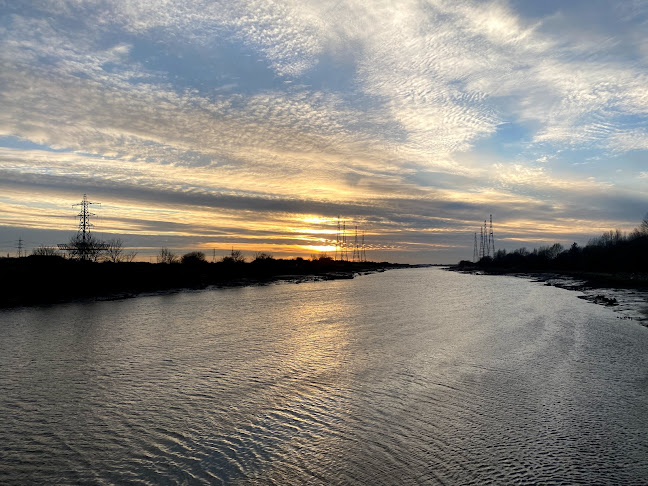 Preston Dock Bullnose