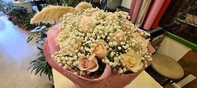 Ιουλίας Ανδρεάδη 4, Κέρκυρα 491 32