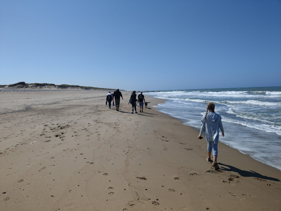 Vejlby Klit Beach