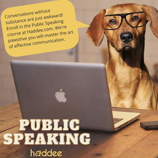 Haddee Education image