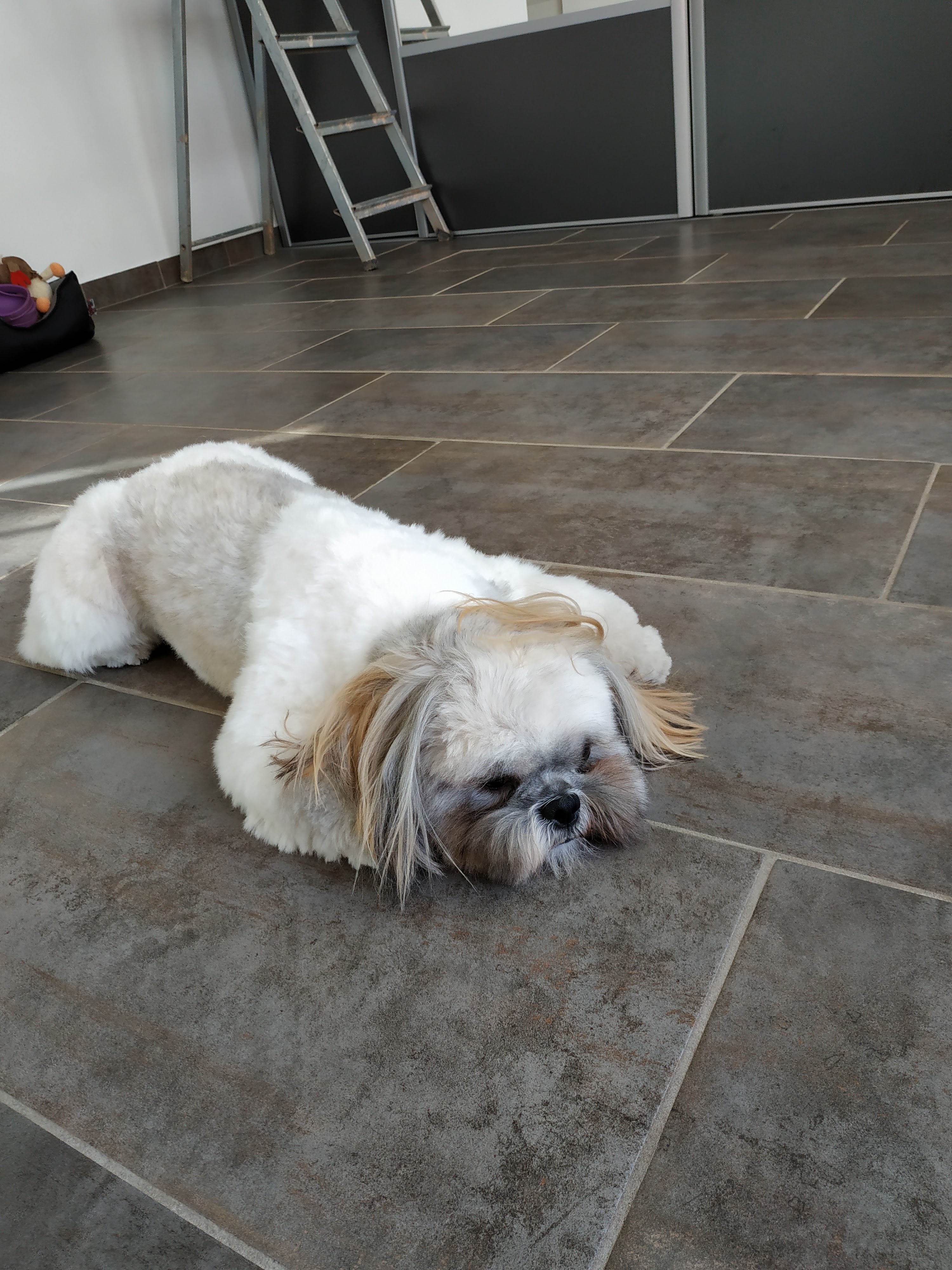Photo n° 3 de l'avis de Celine.o fait le 15/08/2019 à 06:55